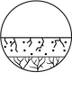 יבש