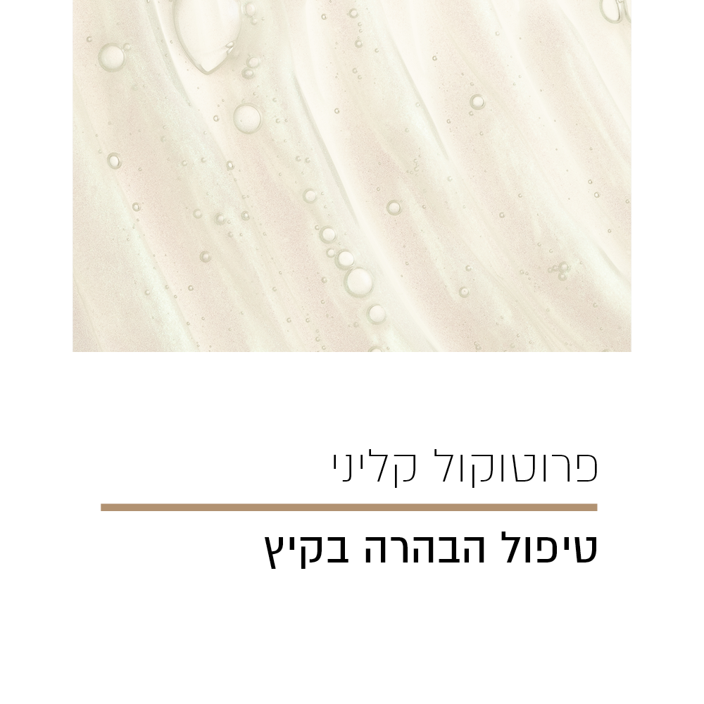 פרוטוקול הבהרה בקיץ